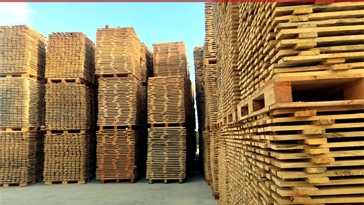 The Rise of Wooden Pallets as Green Packaging in Shaanxi