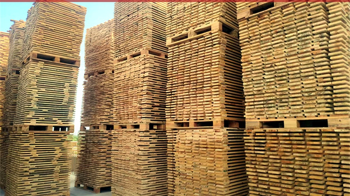 Shaanxi Wooden Pallet Market: Competition and Future Outlook