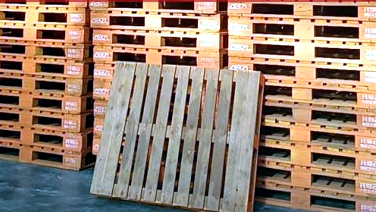 How to Use Wooden Pallets Correctly and What Are the Advantages?